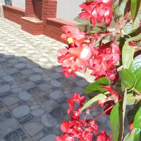 Fabio's 사밀